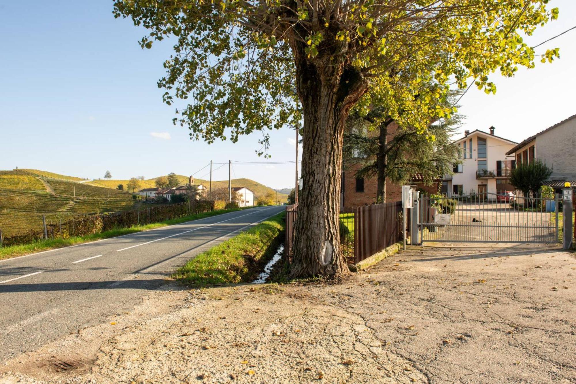 Casa Rubbo - Appartamento In Collina 'Monviso' Alba  Eksteriør bilde